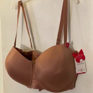 42H Ashley Stewart Butterfly Bra